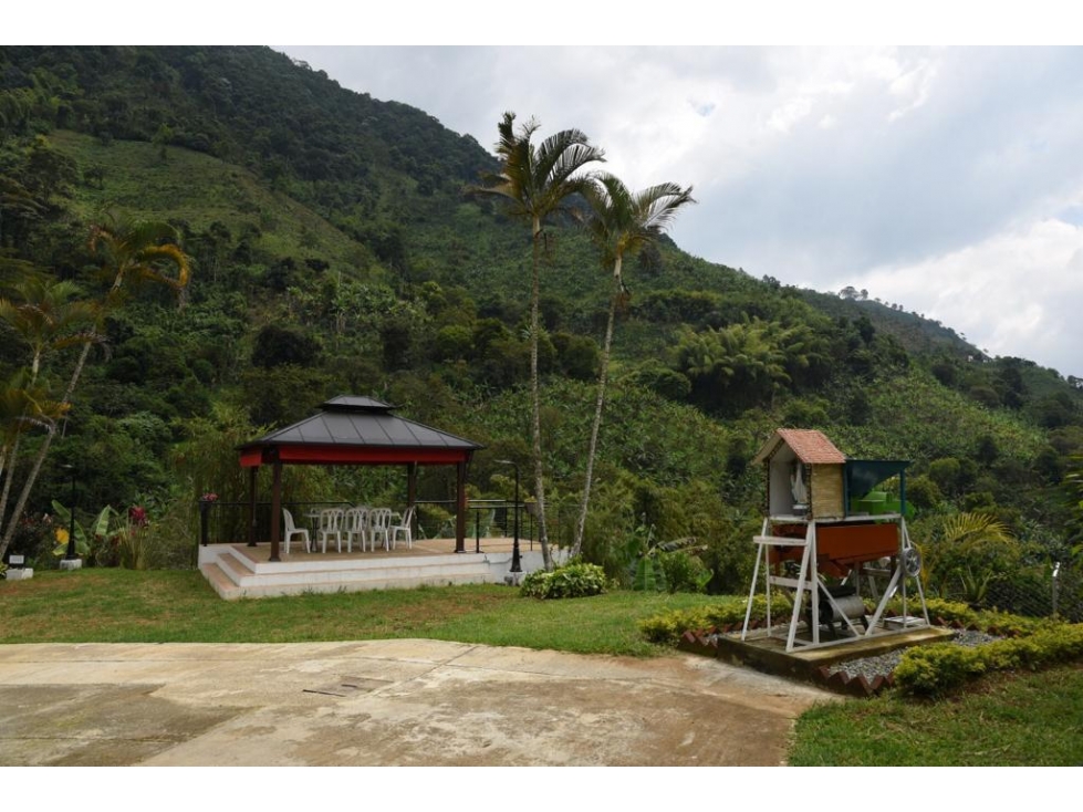 VENTA DE FINCA HOTEL SECTOR BUENAVISTA QUINDIO - 4