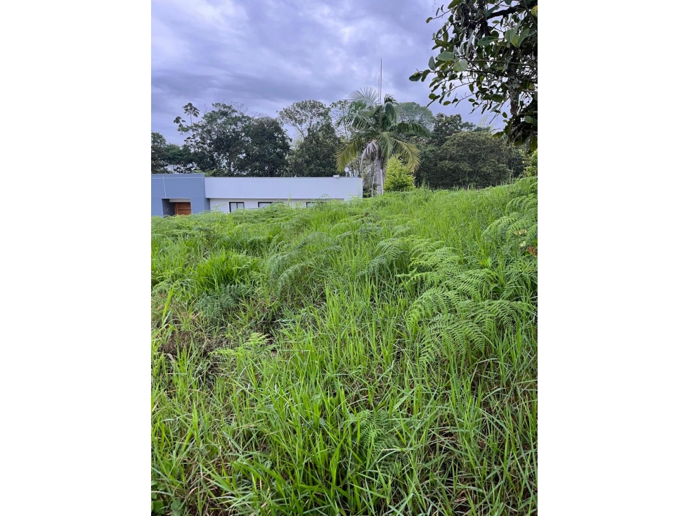 LOTE DENTRO DE CONDOMINIO CERRADO ZONA CIRCASIA - 4