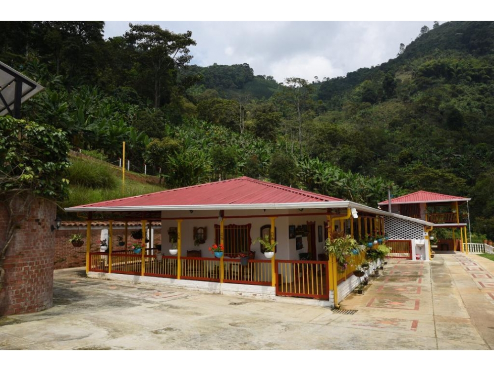 VENTA DE FINCA HOTEL SECTOR BUENAVISTA QUINDIO - 5