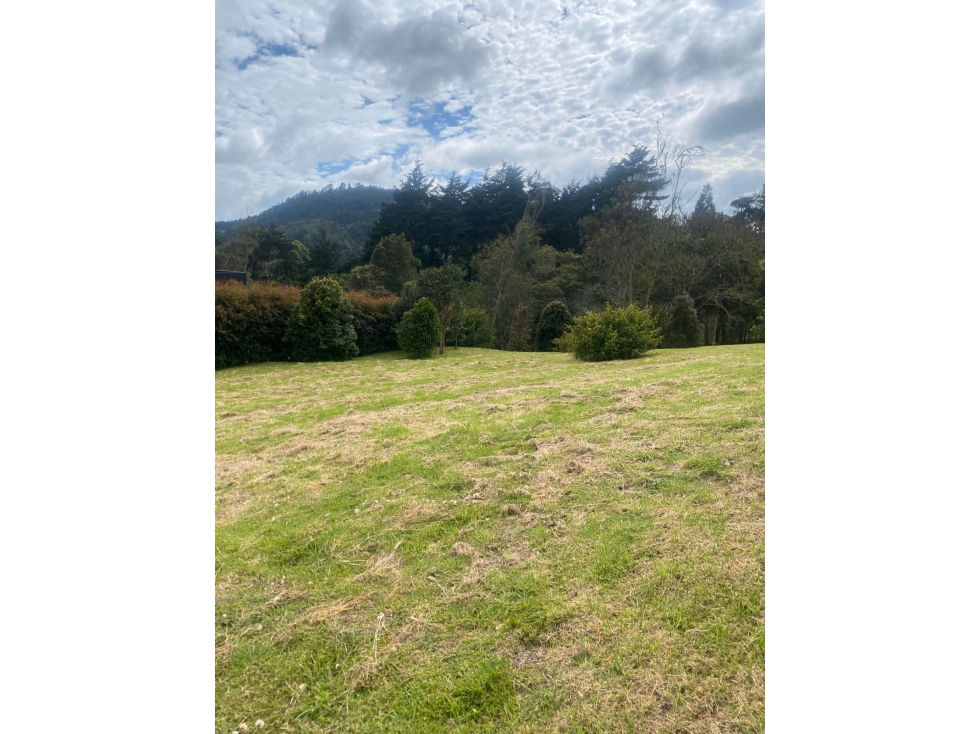 Venta de lote campestre en las Palmas — foto 3