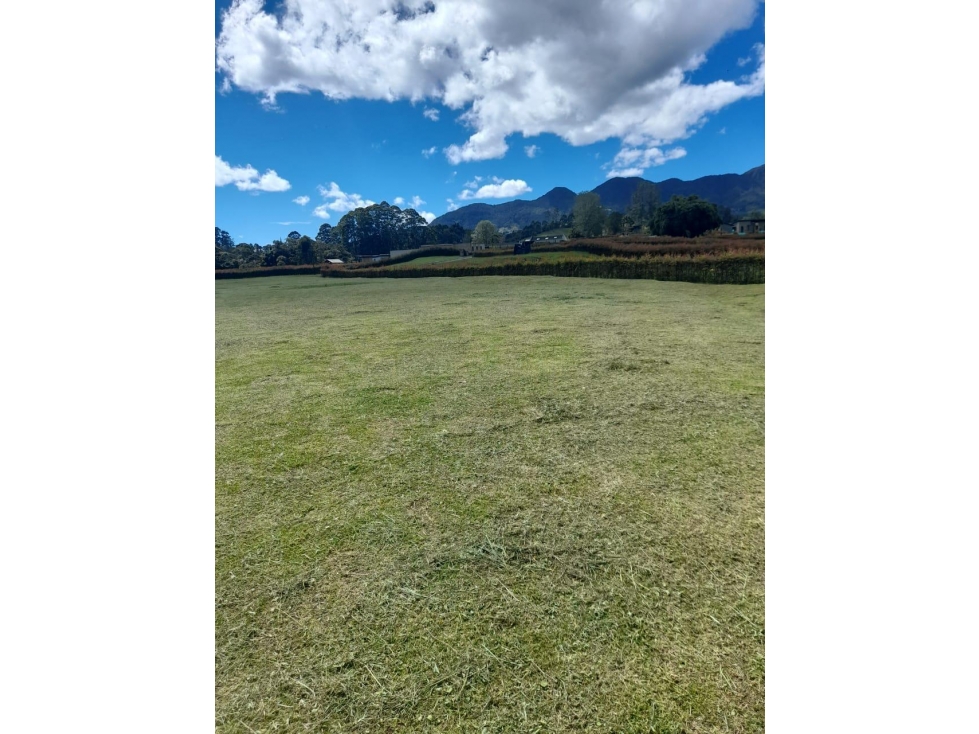 Venta de Lote via san antonio de pereira y la ceja — foto 2