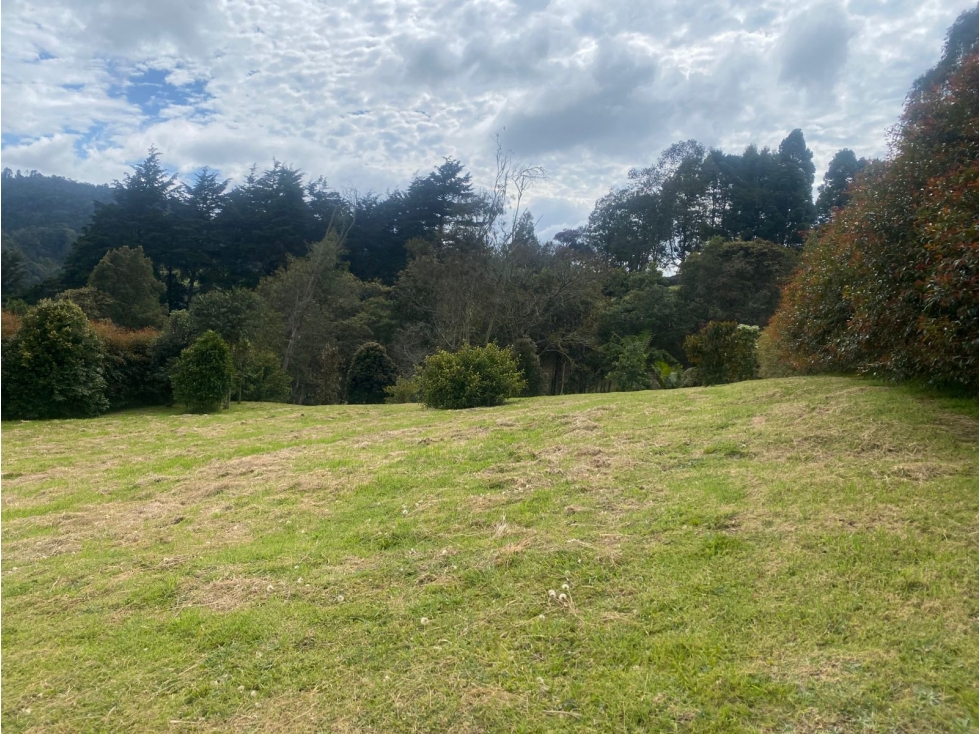 Venta de lote campestre en las Palmas — foto 4