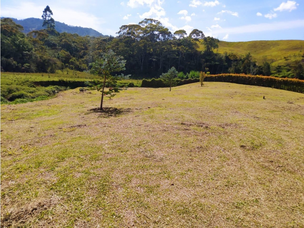 Venta de Lote via san antonio de pereira y la ceja — foto 4