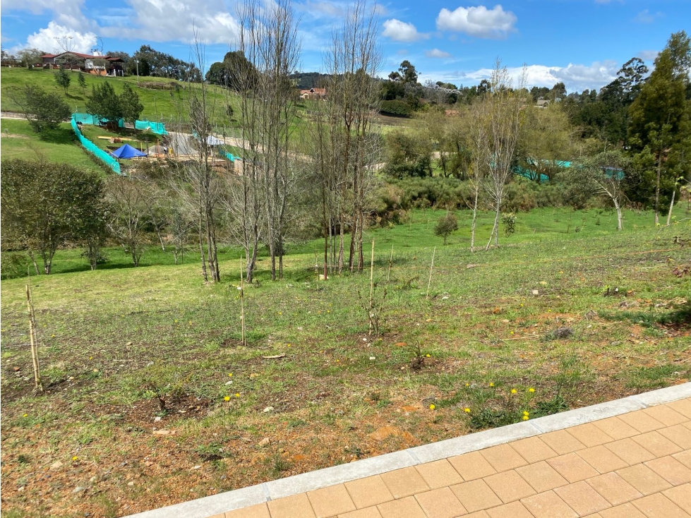 Venta de lote Alto de las Palmas — foto 2