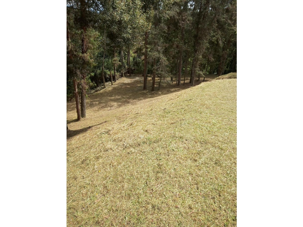 Venta de lote en las Palmas