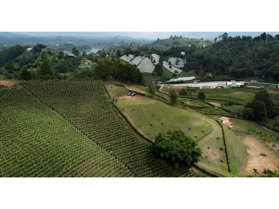 Venta lote Peñol Antioquia - 4