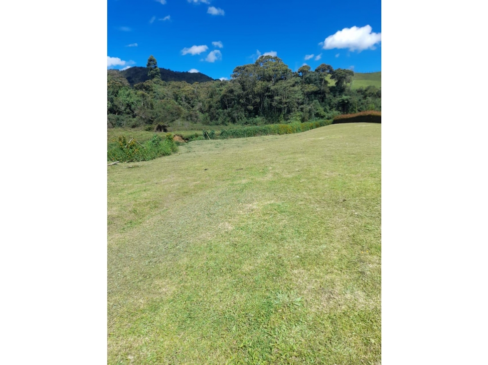Venta de Lote via san antonio de pereira y la ceja — foto 3