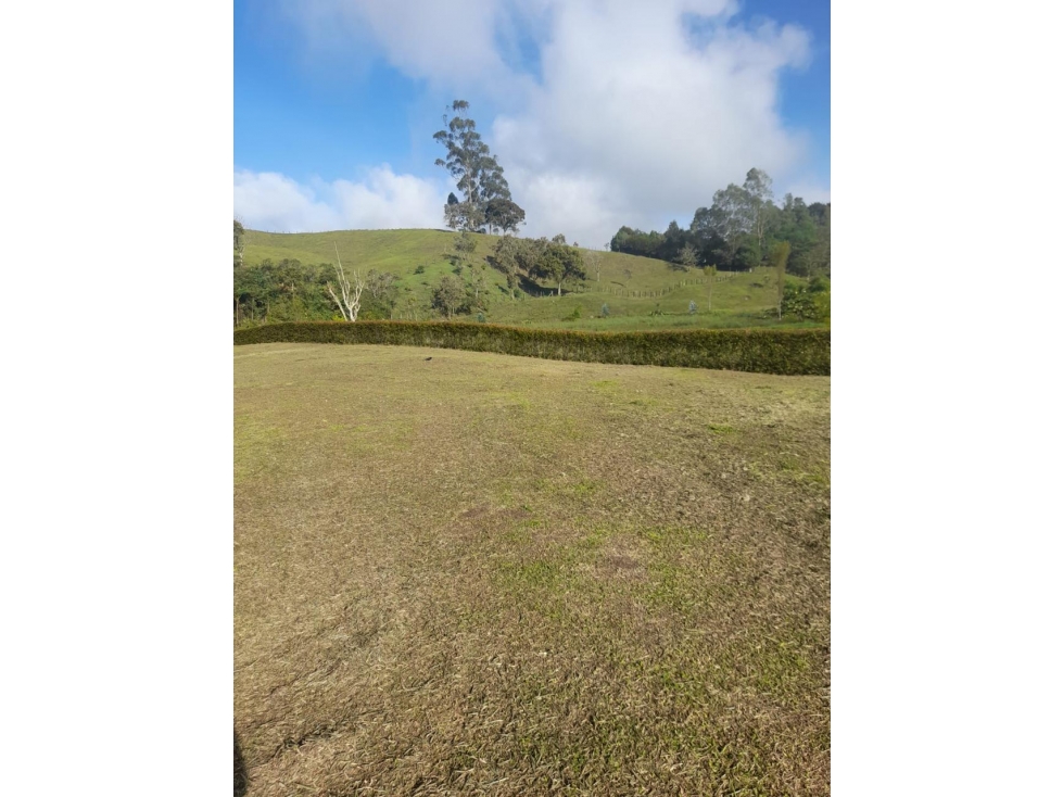 Venta de Lote via san antonio de pereira y la ceja — foto 6