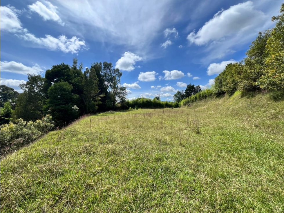 Venta de lote en Llanogrande