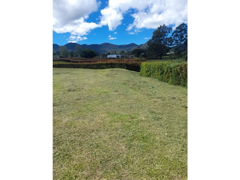 Venta de Lote via san antonio de pereira y la ceja