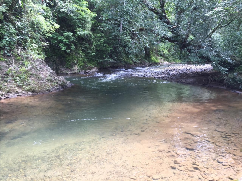 Hermosa Finca en Cative, Sona, Veraguas - 3
