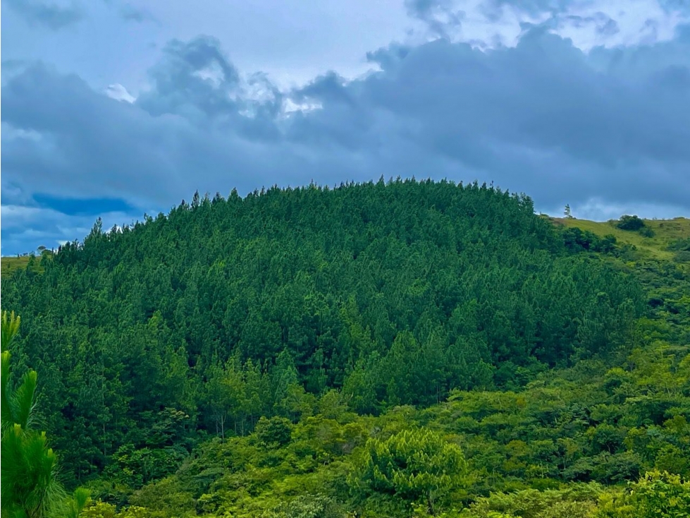 Finca en Macano, El Valle de Anton - 6