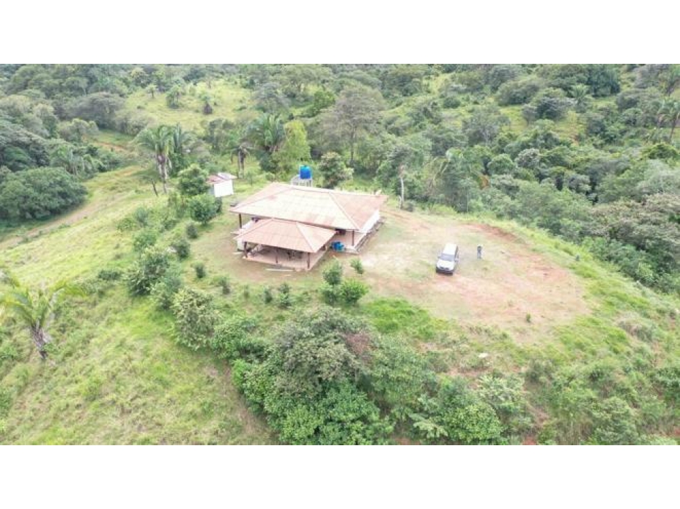 Hermosa Finca en Cative, Sona, Veraguas - 4