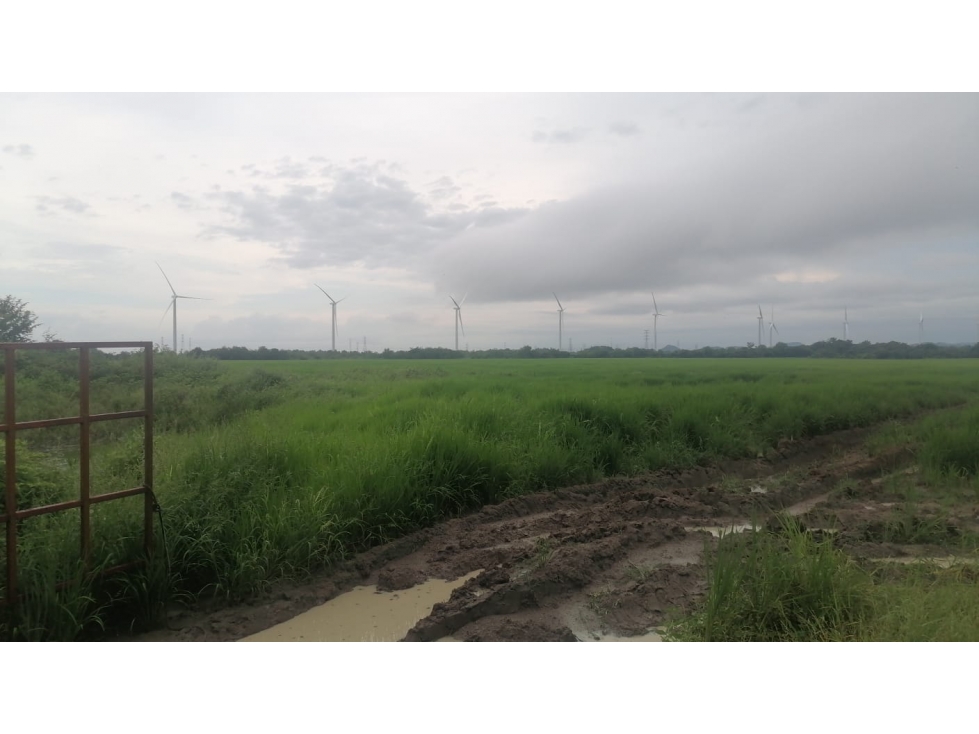 Se Vende Finca Plana en Penonome - 1