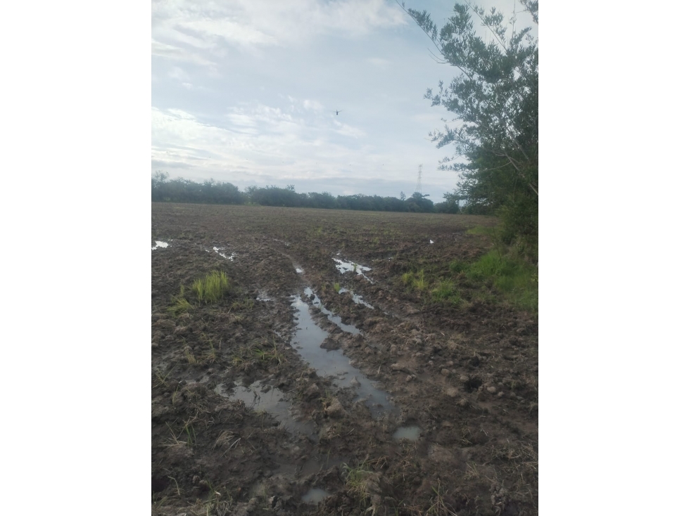 Se Vende Finca Plana en La Pintada Penonome - 2