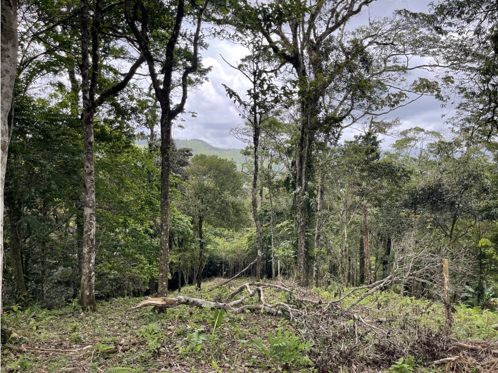 Terreno disponible en Altos de Maria (Melo) Financiamiento Disponible