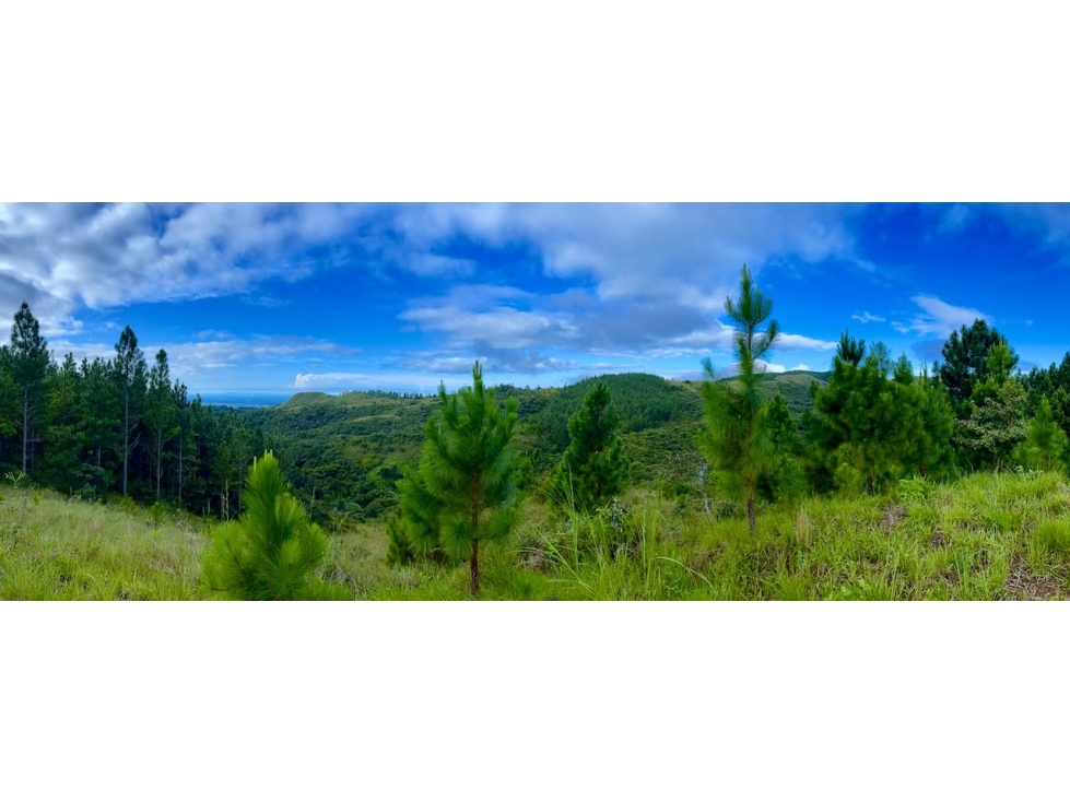 Finca en Macano, El Valle de Anton - 4