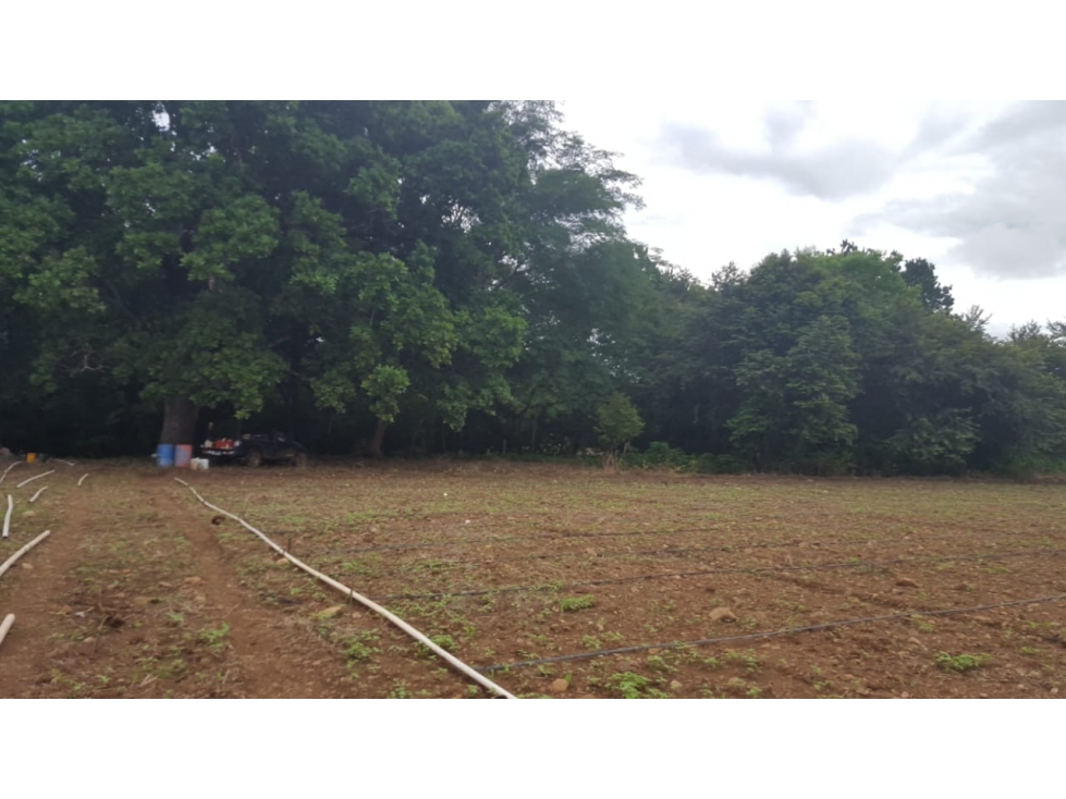 Se Vende Finca Churube Penonome - 2