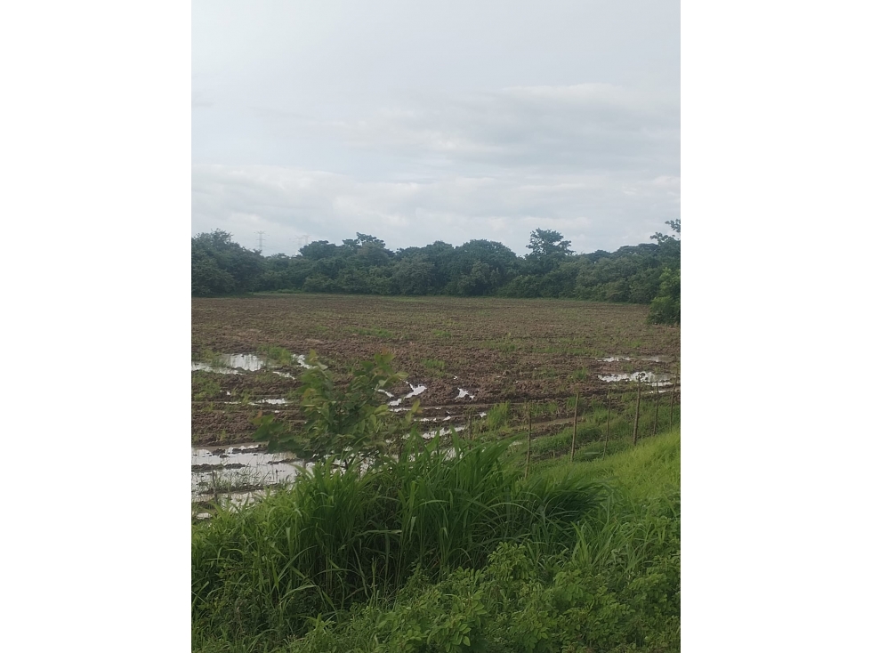 Se Vende Finca Plana en Puerto Gago, Penonome - 2