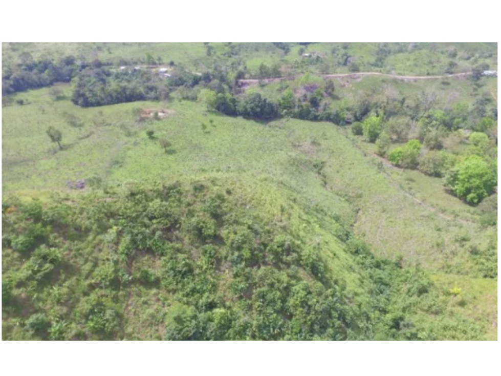 Finca en Darién, Chepigana, Chepigana, Río Colorado - 3