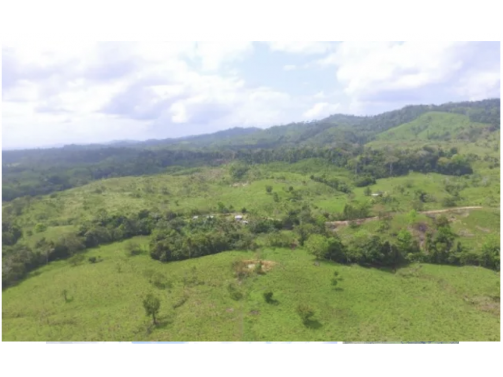 Finca en Darién, Chepigana, Chepigana, Río Colorado - 4