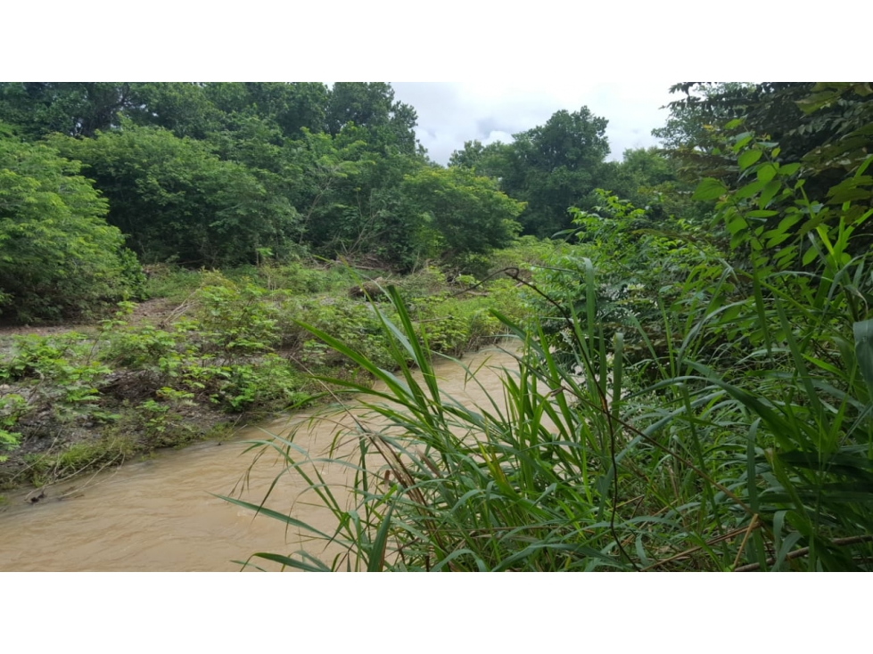 Se Vende Finca Churube Penonome - 4