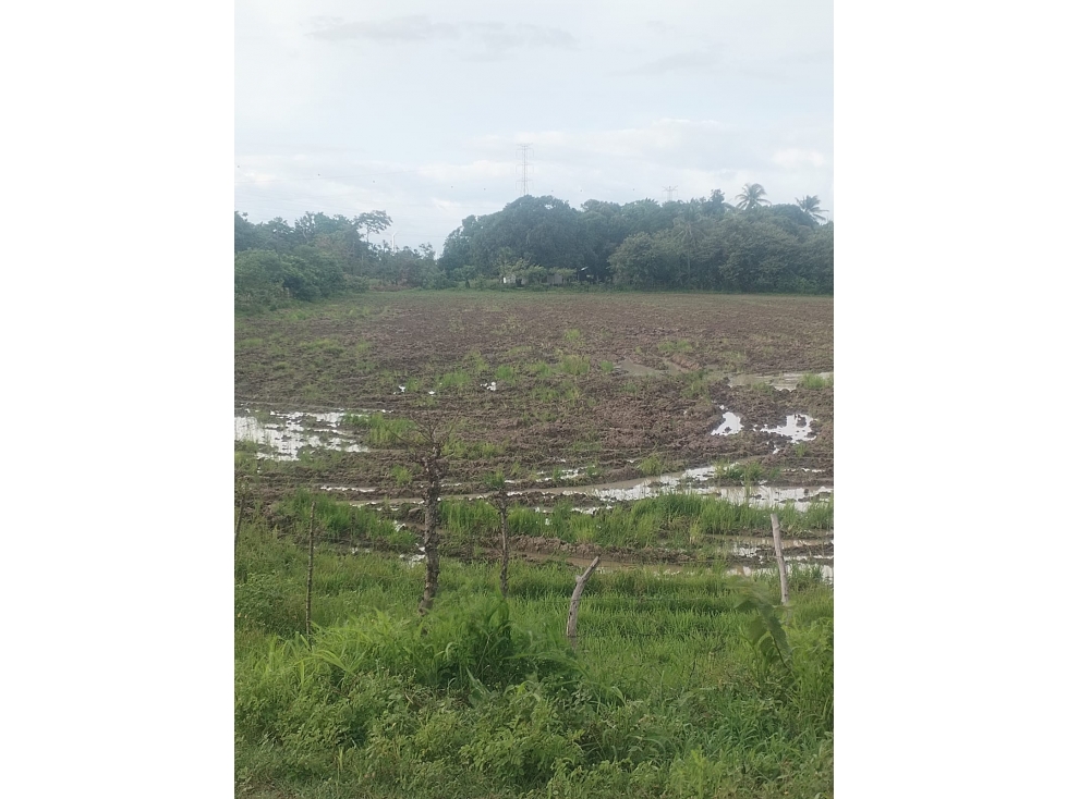Se Vende Finca Plana en La Pintada Penonome - 5