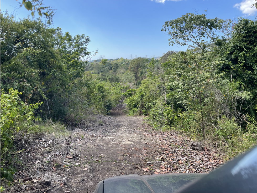 Finca 50 has en Buena Vista Colon - 6