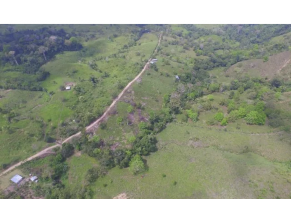 Finca en Darién, Chepigana, Chepigana, Río Colorado - 5