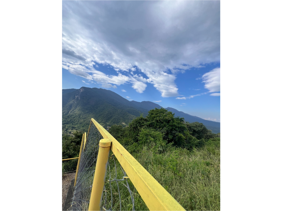 LOTE ALTOS DEL COROZAL 1.250 M2 - 1