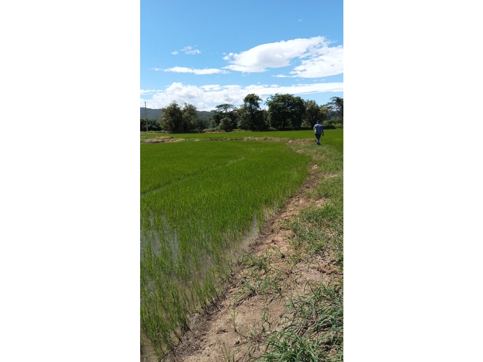 VENTA DE LOTE EN EL SECTOR DEL ZULIA - 4