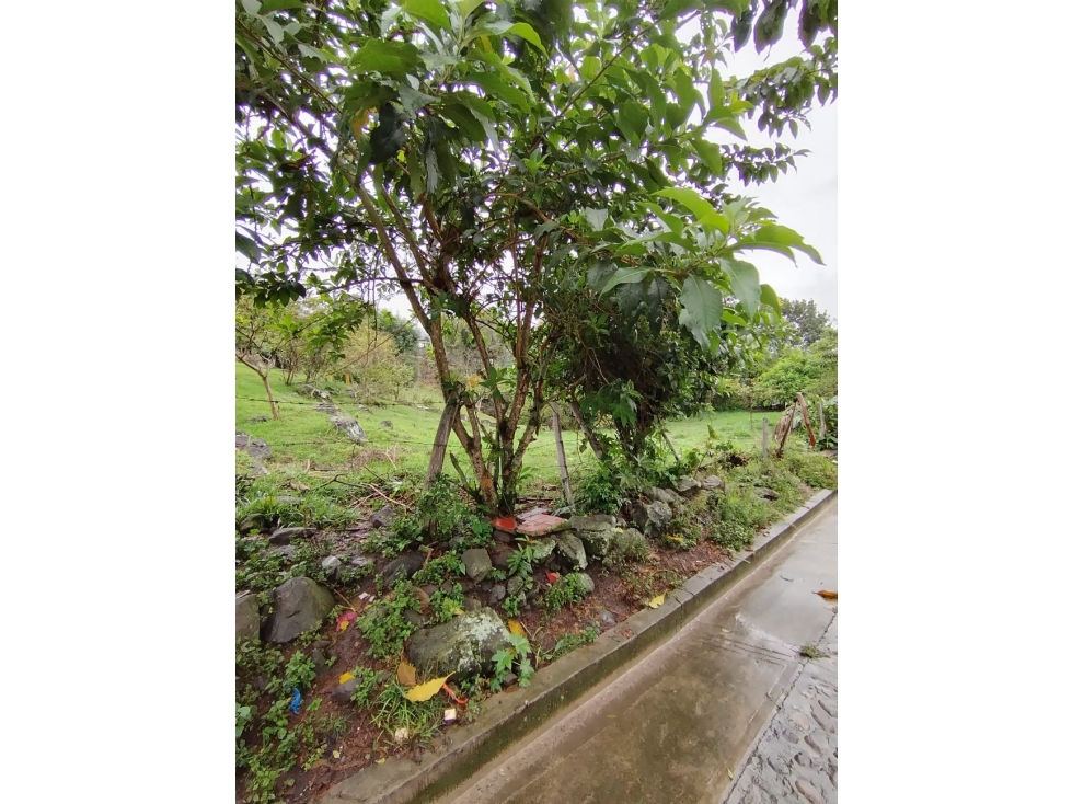 LOTE A LA VENTA EN PAMPLONITA OPCION D1 - 2