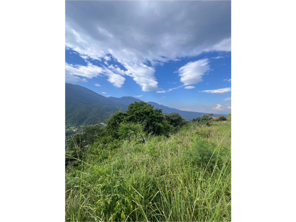 LOTE ALTOS DEL COROZAL 1.250 M2 - 4