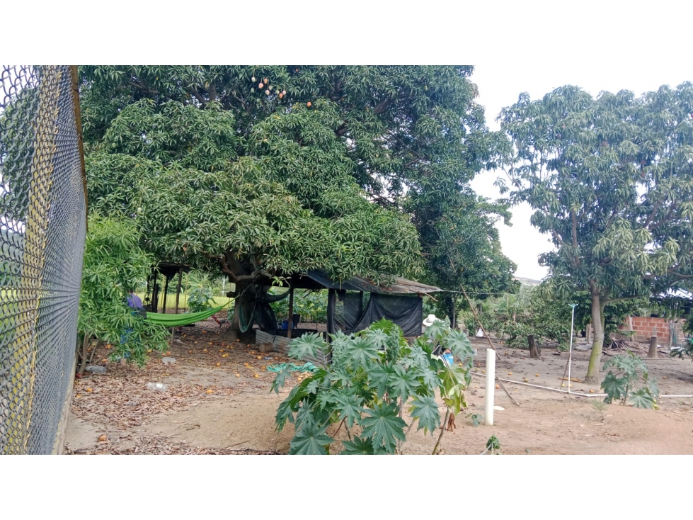 VENTA DE LOTE EN EL SECTOR DEL ZULIA - 2