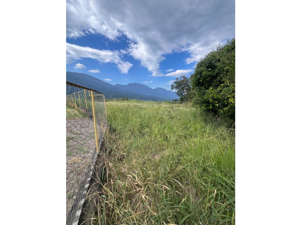 LOTE ALTOS DEL COROZAL 1.250 M2 - 5