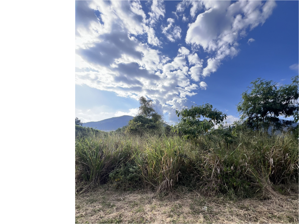 LOTE ALTOS DEL COROZAL 1.850 M2 - 4