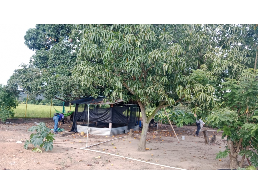 VENTA DE LOTE EN EL SECTOR DEL ZULIA - 3