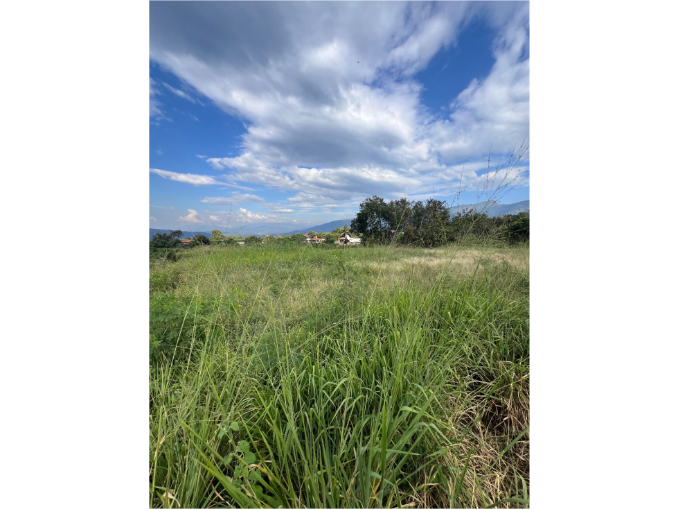 LOTE ALTOS DEL COROZAL 1.250 M2 - 6