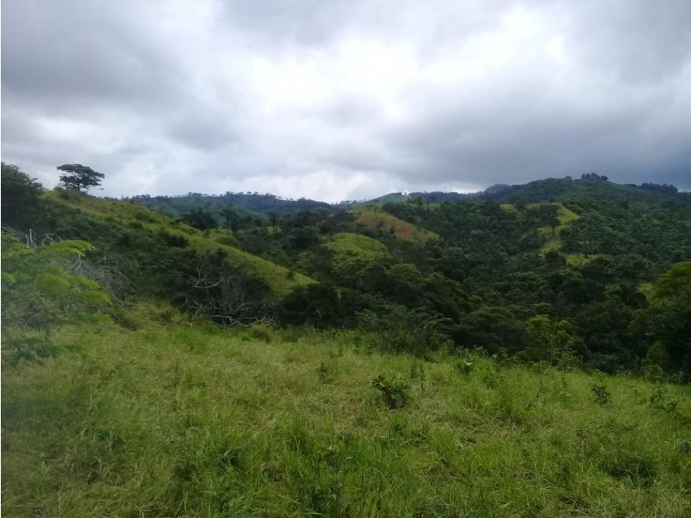 * Venta de finca en Tebario Veraguas - 2