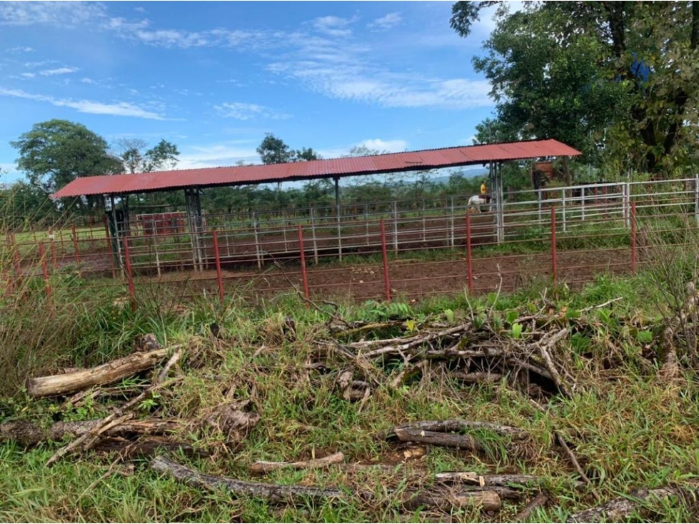 * Venta de finca en Tebario Veraguas - 4