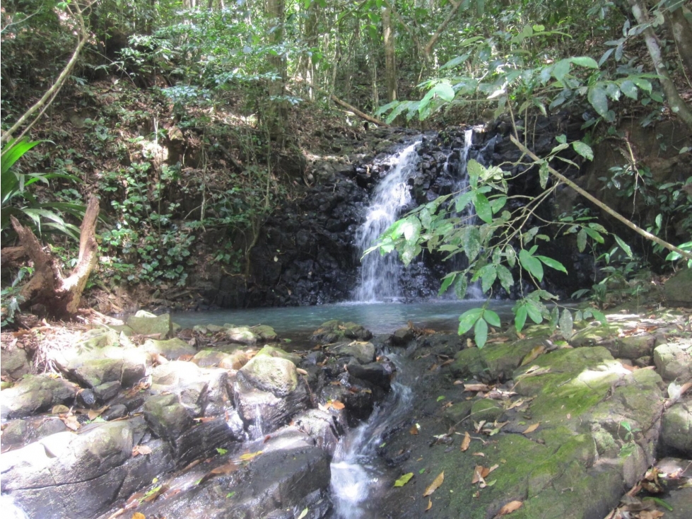 Lote de 95 ha en Penonomé - 4