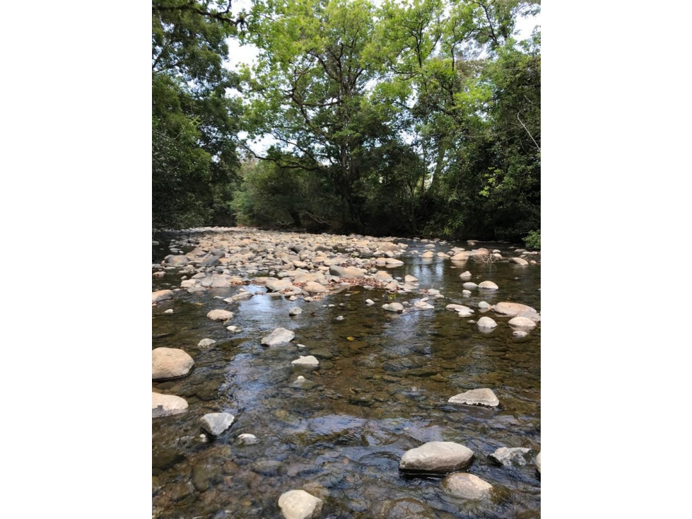 * Venta de finca en Tebario Veraguas - 6