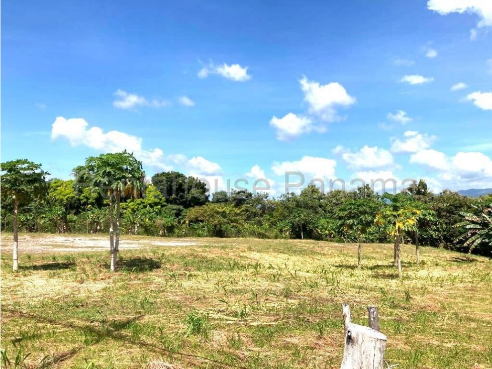 Lote / terreno residencial en venta en Las Lajas. Panamá. 25-6234. — foto 4