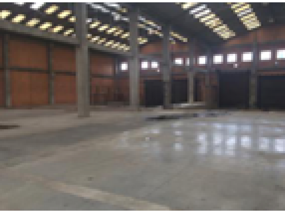 BODEGA EN RENTA — foto 3