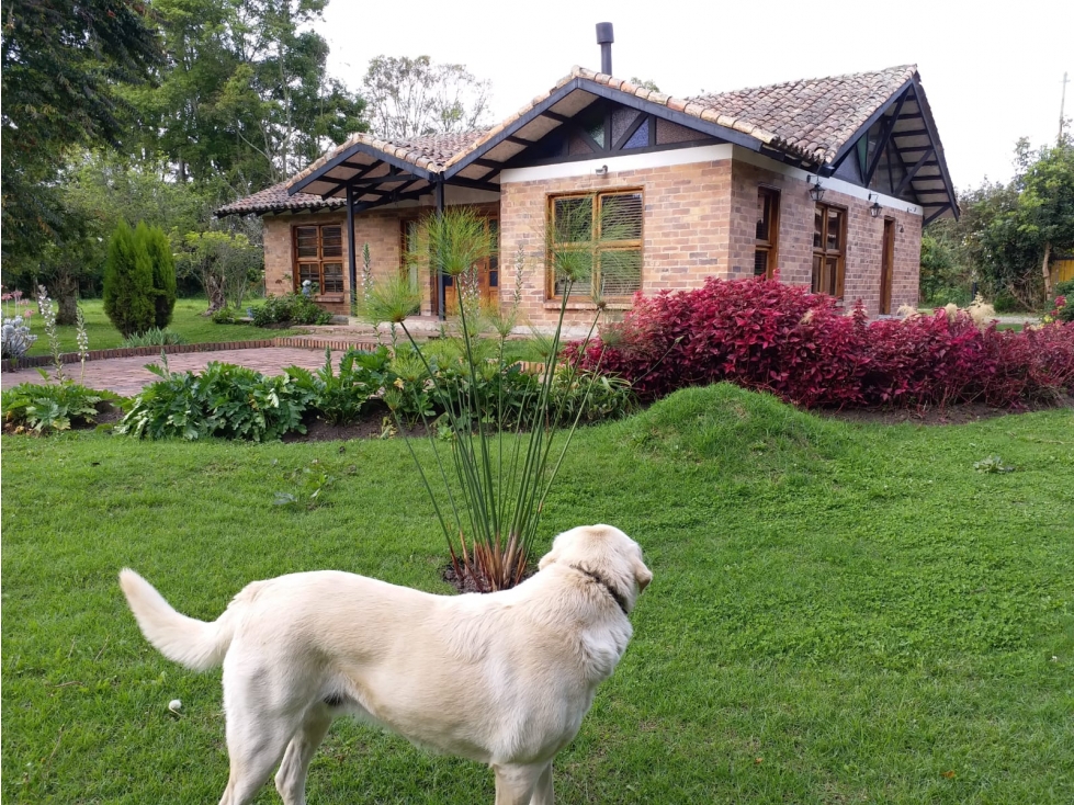 Arriendo Casa Independiente Cajica Cundinamarca - 1