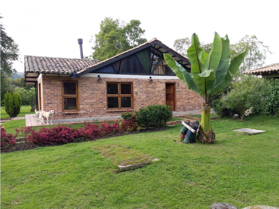 Arriendo Casa Independiente Cajica Cundinamarca - 2