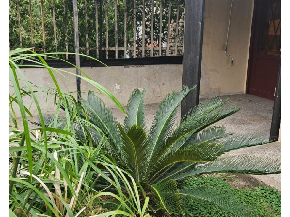 OPORTUNIDAD CASA EN ITUZAIGO BARRIO AERONAUTICO!! — foto 3