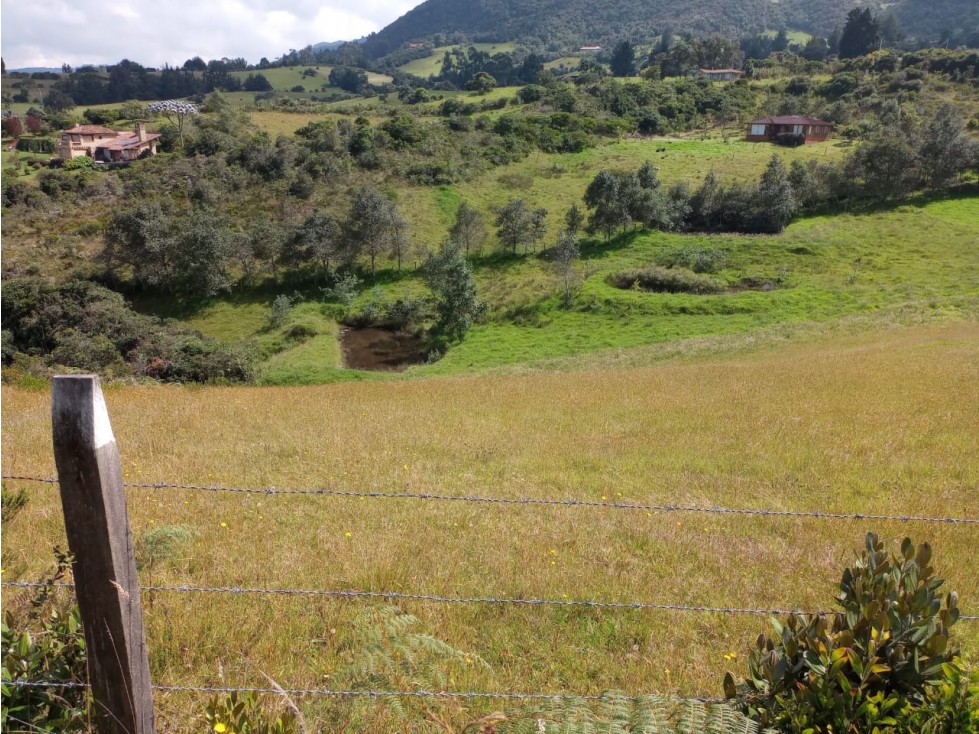VENDO TERRENO 5 FANEGADAS - GUATAVITA 455 | - 3