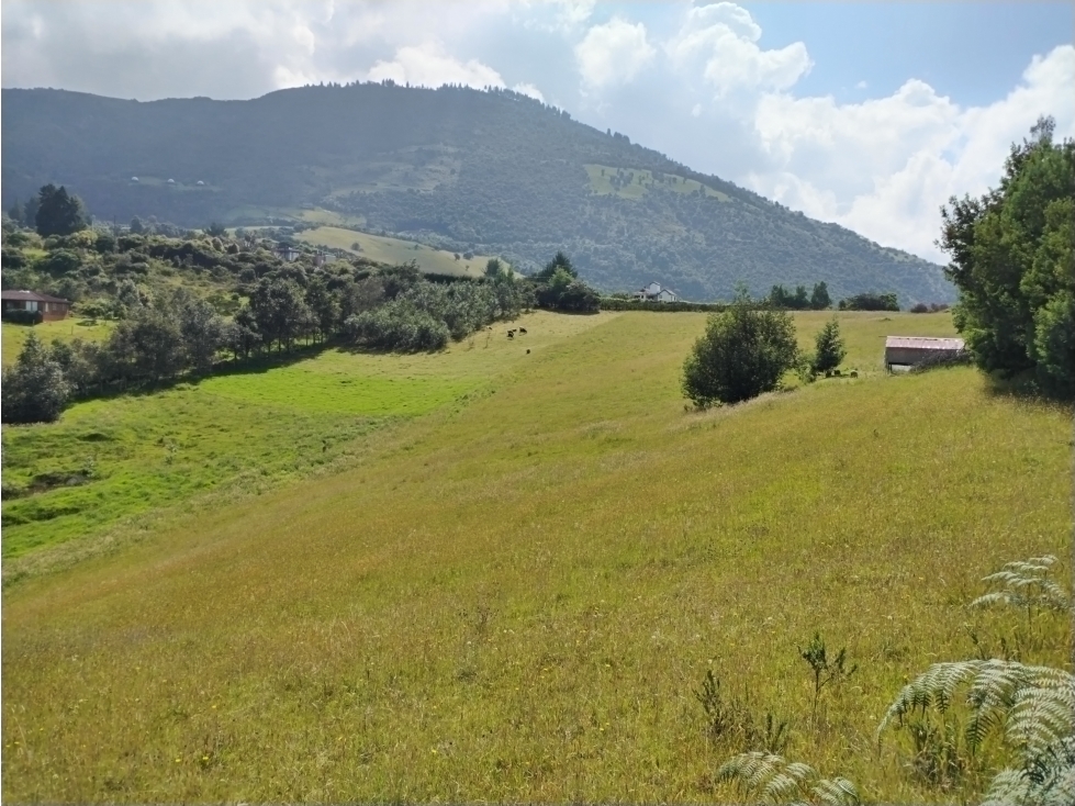 VENDO TERRENO 5 FANEGADAS - GUATAVITA 455 | - 1