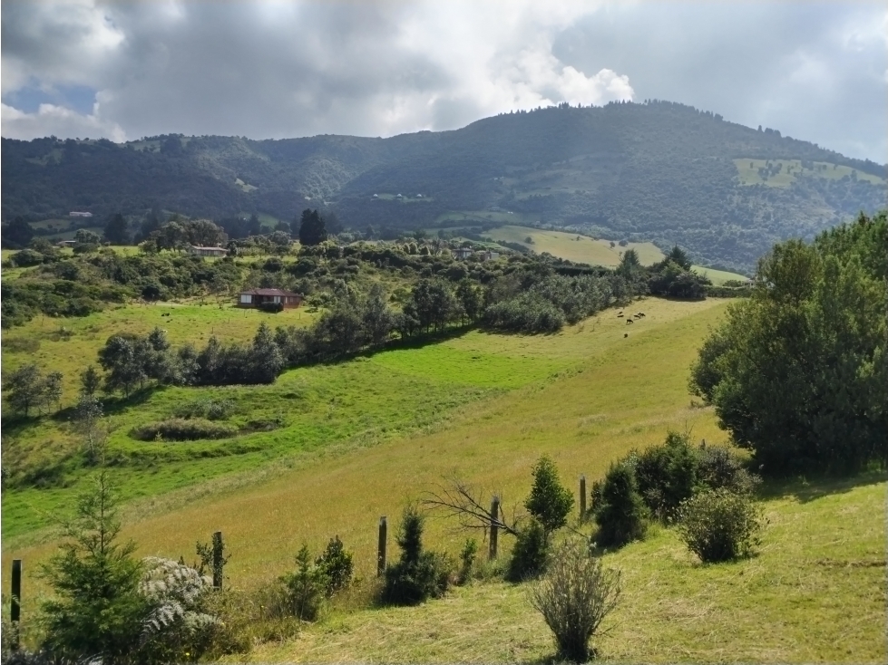 VENDO TERRENO 5 FANEGADAS - GUATAVITA 455 | - 6